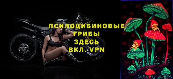 первитин Богданович