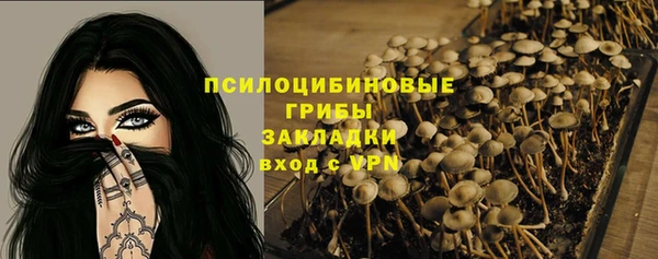MDMA Premium VHQ Богородицк