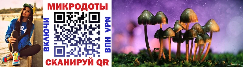Псилоцибиновые грибы Cubensis  это состав  Мичуринск 